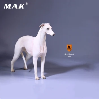 1/6 Collectible Figur Scene Tilbehør Mr. Z 14 1/6 Skala No. 14 Greyhound Dyr Hund Model 6 Farver til 12
