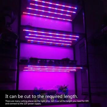 Full Spectrum Phytolamp LED vækst Lys Stribe for Invernadero Drivhuse Indendørs Planter Frø Blomst med Dæmpbar Touch Skift