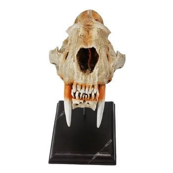 Høj kvalitet og 1:1 simulering af den Amerikanske sabel-tandet tiger kraniet skelet model craft model haunted house bar dekorationer