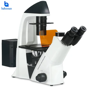 Lab Omvendt Fluorescece Mikroskop for at Studere Biologiske Celle